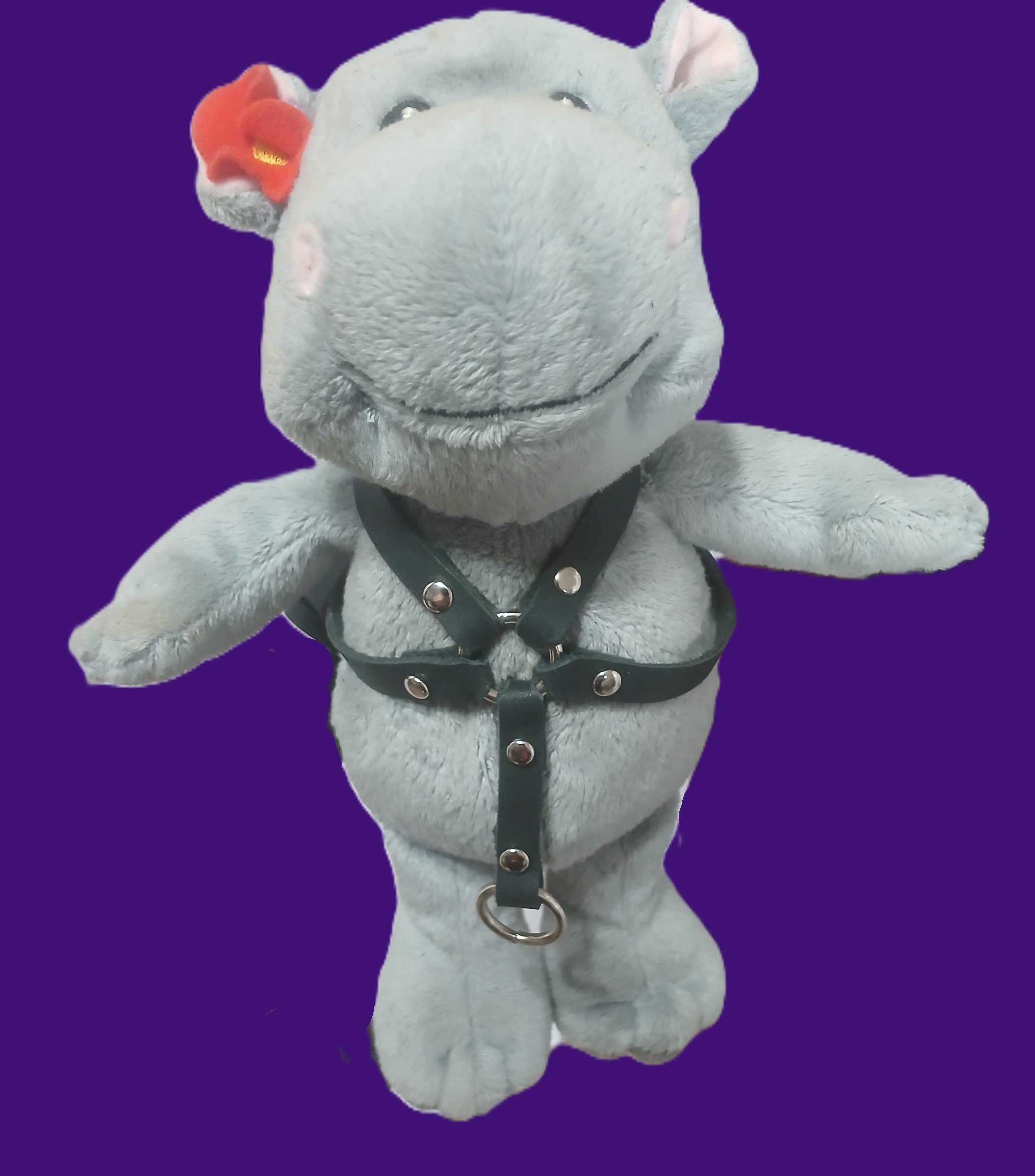 A teddy bear wearing a black 4 point harness that goes over the shoulders, under the arms then down to the belly button.