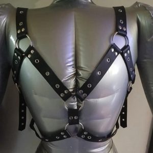"Y" Harness