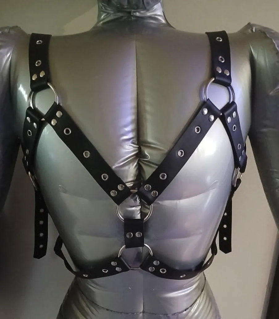"Y" Harness