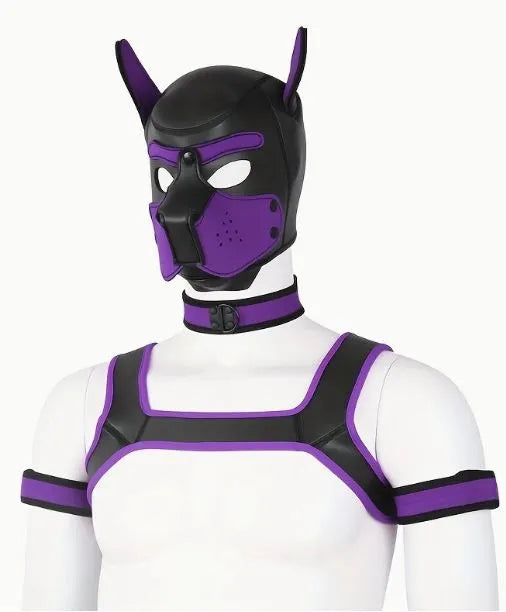 A person wearing a purple and black dog hyood
