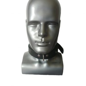 "STLW" Leather Bondage Collar